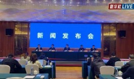 临颍新闻爆料事件最新情况,真相逐步浮出水面