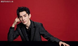 黑明大爆料解说大全最新,揭秘娱乐圈幕后真相与热点事件