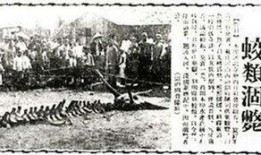 营口最新爆料事件,神秘事件引发社会热议