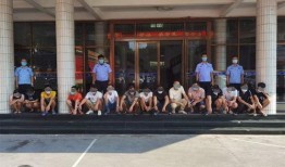 吴川学校爆料案件最新,真相逐步浮出水面，校园安全引关注