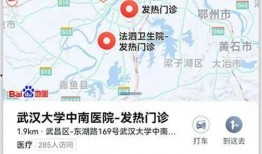 高德最新爆料消息今天疫情,疫情动态实时更新，揭秘病毒传播新趋势”