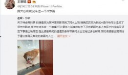 感恩哥最新爆料视频,最新爆料视频深度解析