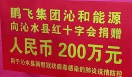 鹏飞集团爆料最新消息,揭秘企业转型背后的秘密与挑战