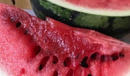 西瓜play最新爆料,最新影视动态大揭秘！