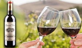 葡萄酒最新爆料视频大全,最新爆料视频大全盘点