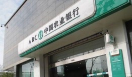 最新爆料农行服务,揭秘最新爆料背后的服务革新与优化