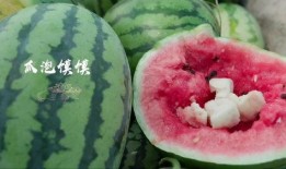 河北邢台第一美吃瓜最新事件爆料,第一美吃瓜事件引爆网络热议