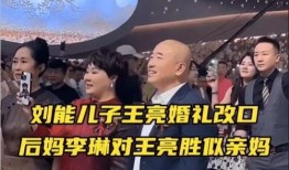 王亮爆料视频最新,事件真相与幕后黑幕