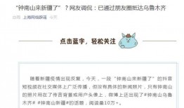 钟南山最新爆料新闻视频,新冠病毒变异与防控策略深度解析