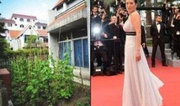 巩俐的最新动态爆料,跨界合作引发热议，事业再攀高峰