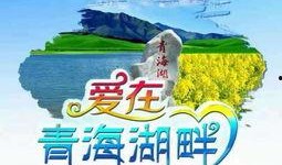 苍溪同城爆料网最新消息,最新消息速递，揭秘本地热点事件！