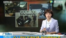 河北女子爆料新闻报道最新,揭露惊人真相，揭开背后黑幕！