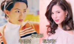 娱乐圈大爆料最新的小说,揭秘明星背后的秘密与真相