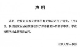 陈春花最新爆料消息,揭秘企业成功之道与行业变革趋势