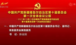 四季最新爆料新闻内容视频,揭秘四季新闻热点背后的真相