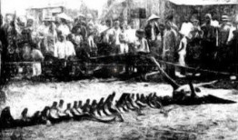 营口最新爆料事件,神秘事件引发社会热议