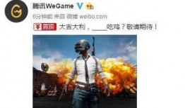 吃鸡最新爆料文章,独家爆料带你领略全新游戏体验