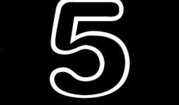 最新爆料石家庄新闻头条,突发事件引发全城关注