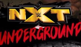 外媒爆料新进展最新消息,揭秘神秘事件背后真相