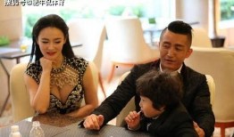 邹市明夫妇最新爆料消息,家庭生活与拳击事业的平衡之道