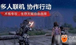 明日之后2爆料攻略最新,生存技巧与建筑秘籍大公开