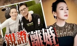 刘大锤最新爆料张彬彬视频,精彩瞬间引网友热议