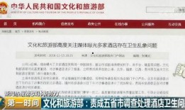 辽宁饭店爆料视频最新版,揭露惊人内幕，真相大白！