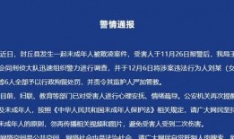公安爆料欺凌事件最新消息,公安最新调查进展披露”