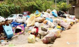 土牛行情最新爆料,最新爆料揭示市场动态与趋势