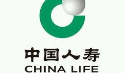 中国人寿财险最新爆料,揭秘保险行业内幕与变革动向