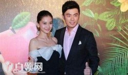 孙丽爆料杨颖视频大全最新,揭秘娱乐圈背后的惊人内幕