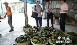 永康吃瓜最新事件爆料新闻