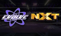 外媒爆料新进展最新消息,揭秘神秘事件背后真相