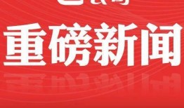 最新经济爆料新闻,最新爆料揭示市场变革趋势
