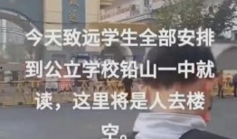 致远最新爆料消息,揭秘行业变革背后的秘密与机遇