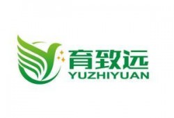 致远最新爆料消息,揭秘行业变革背后的秘密与机遇