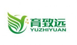 致远最新爆料消息,揭秘行业变革背后的秘密与机遇